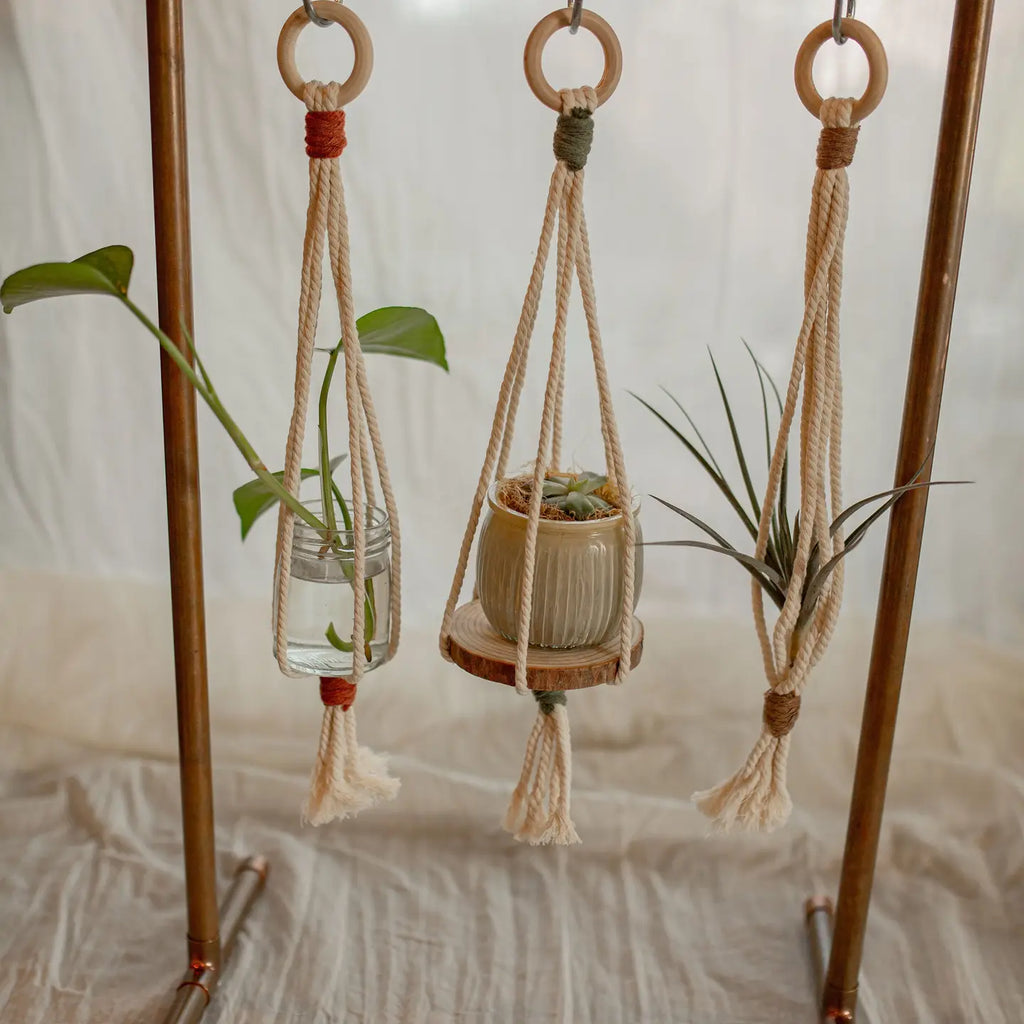 Macrame - Mini Plant Hanger
