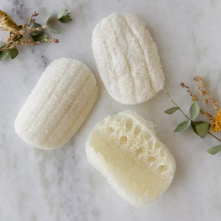 Compostable Loofah Dish Sponge 3-Pack