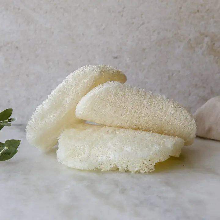 Compostable Loofah Dish Sponge 3-Pack