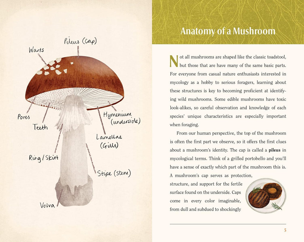 This is a Book for People Who Love Mushrooms