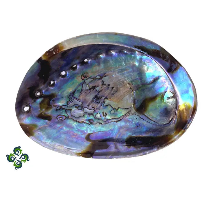 Abalone Incense Burner