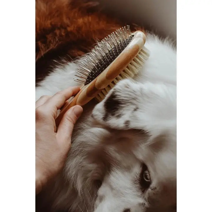 Dog Brush