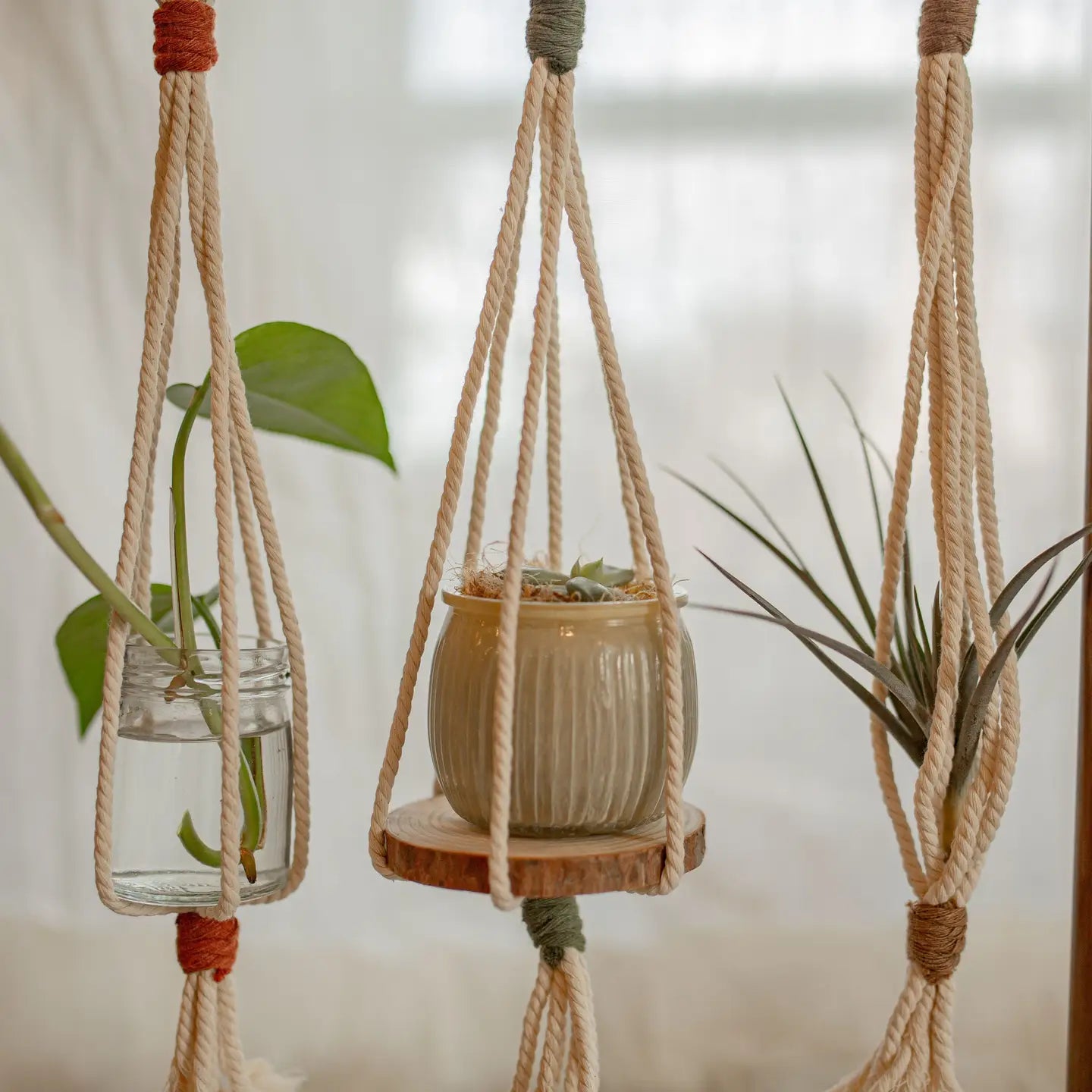 Macrame - Mini Plant Hanger