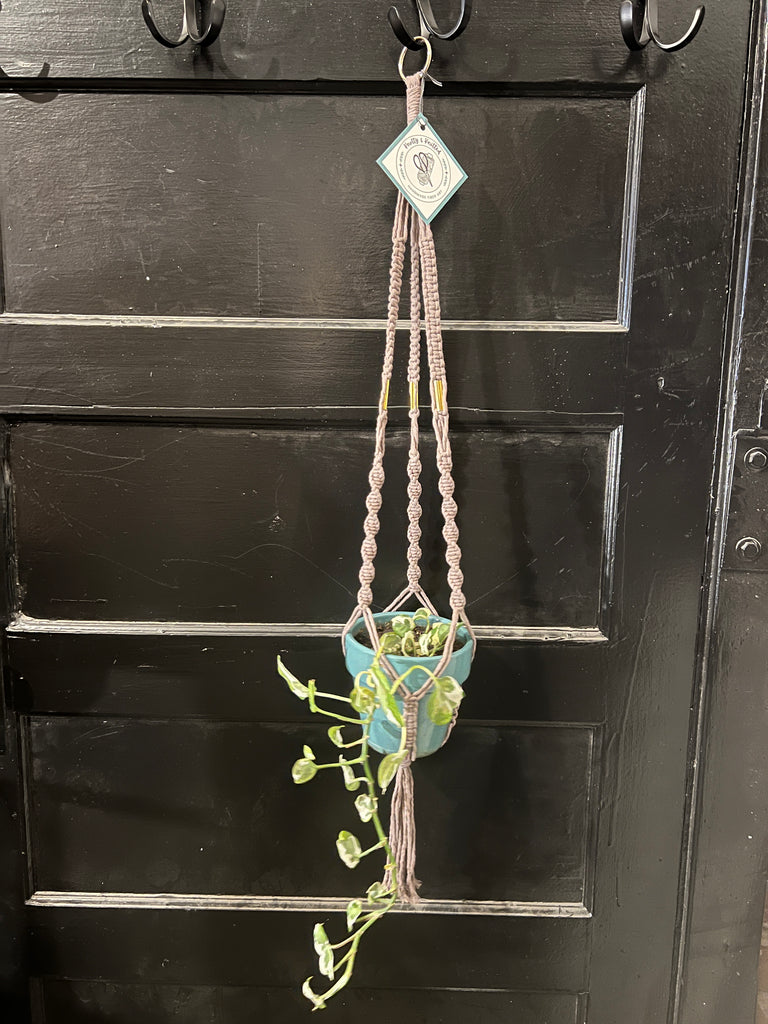 Knotty Macrame Plant Hanger