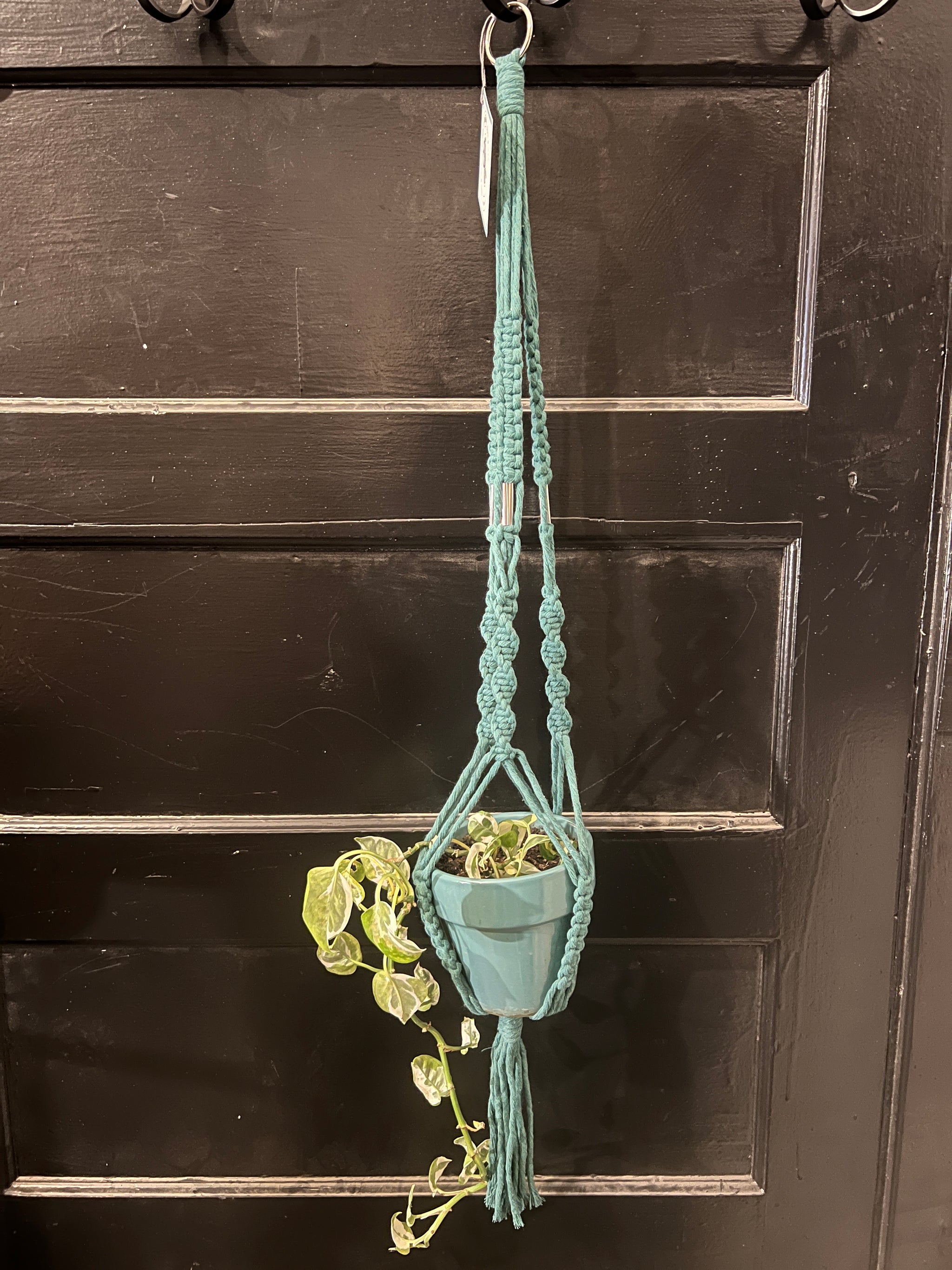 Knotty Macrame Plant Hanger