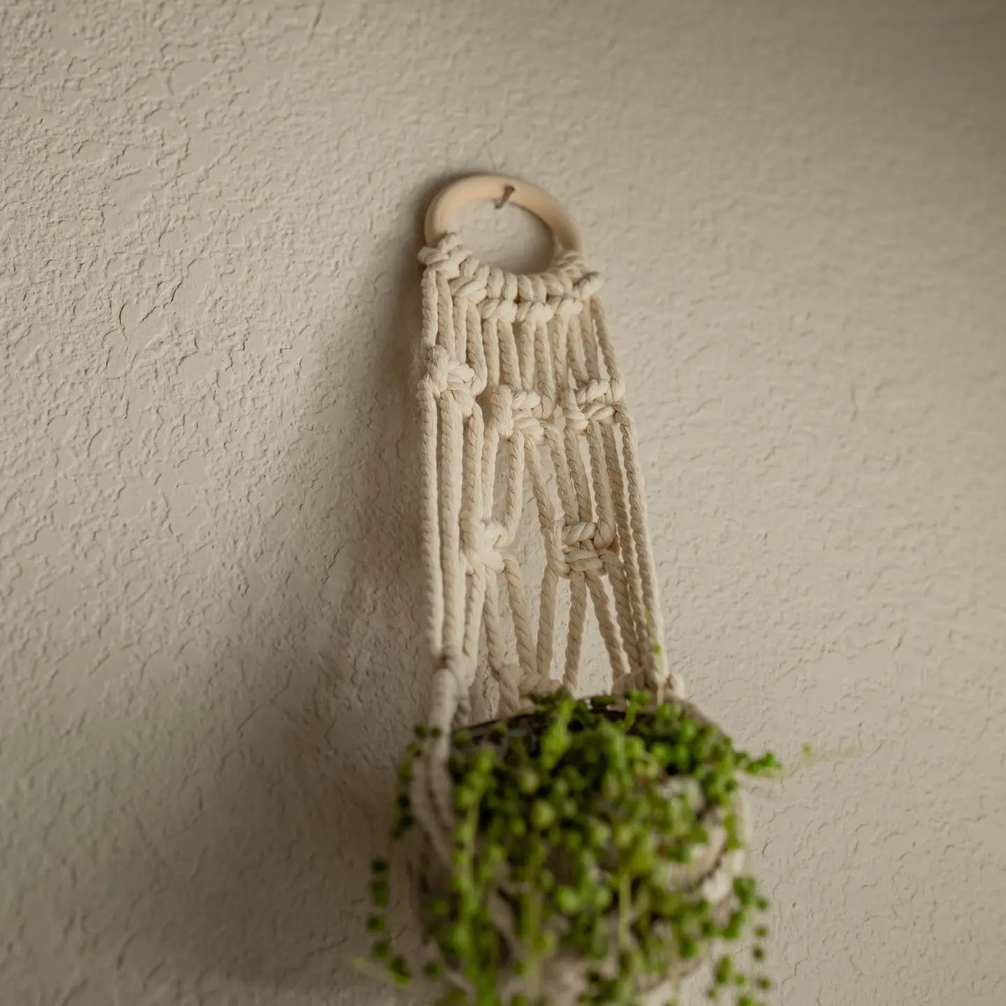 Macrame - "Cleo" Plant Hanger