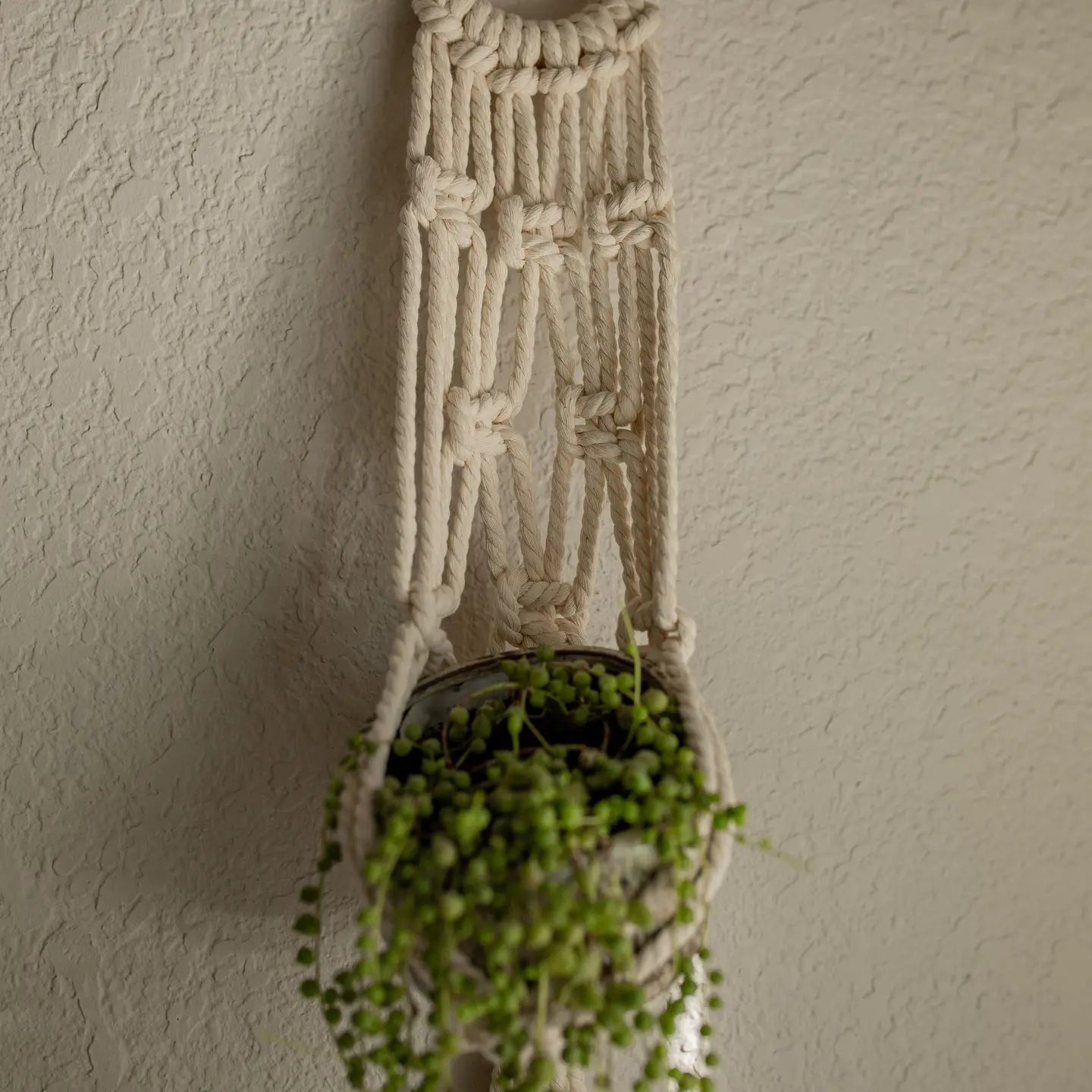 Macrame - "Cleo" Plant Hanger